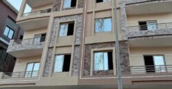 النرجس الجديدة