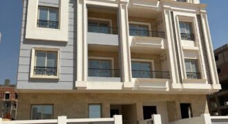 النرجس الجديدة