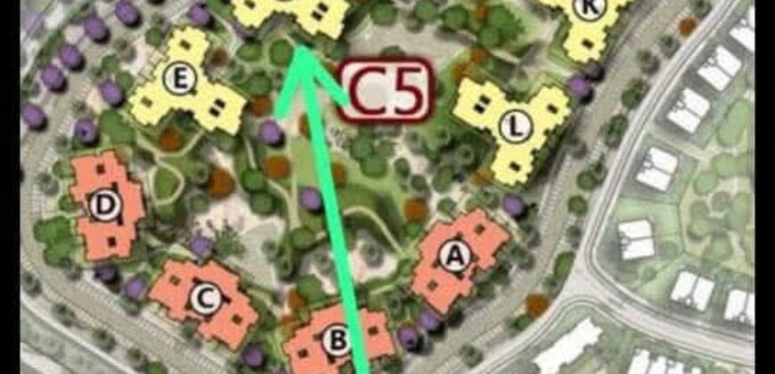 IL BOSCO CITY